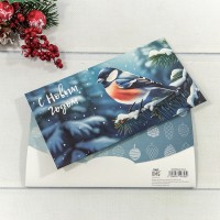 Конверт подарочный 16,5*9см 343 1/10 1/250 Арт: 003004/343
