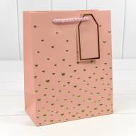 Пакет подарочный с тиснением "Сердечки" (микс 1) 18*23*10 210г 1/20 1/360 Арт: 000880E - Пакет подарочный с тиснением "Сердечки" (микс 1) 18*23*10 210г 1/20 1/360 Арт: 000880E