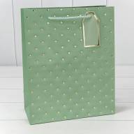 Пакет подарочный с тиснением "Сердечки" (микс 2) 26*32*12 210г 1/20 1/240 Арт: 000545C - Пакет подарочный с тиснением "Сердечки" (микс 2) 26*32*12 210г 1/20 1/240 Арт: 000545C